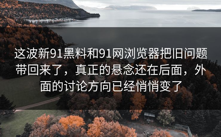 这波新91黑料和91网浏览器把旧问题带回来了，真正的悬念还在后面，外面的讨论方向已经悄悄变了  第1张