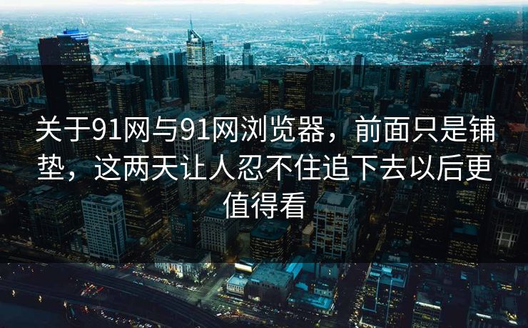 关于91网与91网浏览器，前面只是铺垫，这两天让人忍不住追下去以后更值得看  第1张