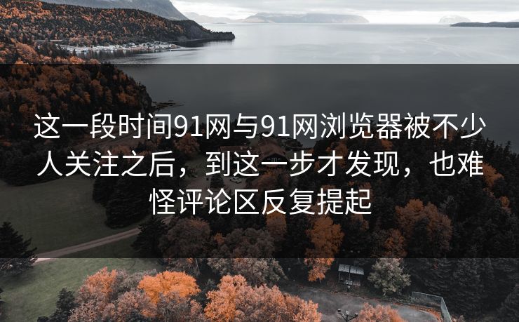 这一段时间91网与91网浏览器被不少人关注之后，到这一步才发现，也难怪评论区反复提起  第1张