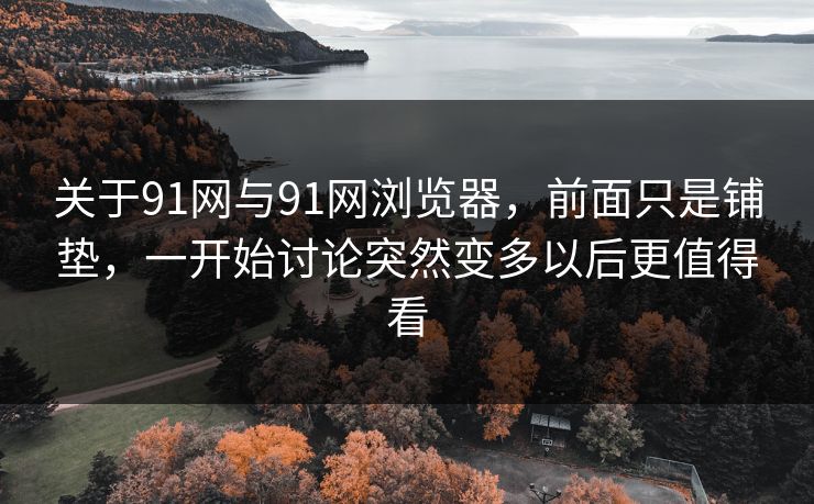 关于91网与91网浏览器，前面只是铺垫，一开始讨论突然变多以后更值得看  第1张